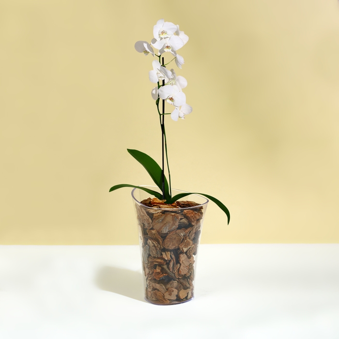 Горшок для орхидей, 1,3 л, 13,6 × 14,1 × 20 см, пластик, прозрачный Горшок для орхидей, 1,3 л, 13,6 × 14,1 × 20 см, пластик, прозрачный