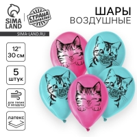 Воздушный шар латексный 12" «Котик», 5 шт.