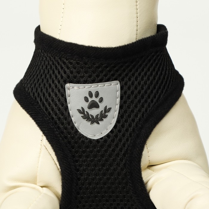 Комплект амуниции с мягкой шлейкой и светоотражающей нашивкой, XL, ОШ 40 см, ОГ 46-60 см, чёрный 761 Комплект амуниции с мягкой шлейкой и светоотражающей нашивкой, XL, ОШ 40 см, ОГ 46-60 см, чёрный 761