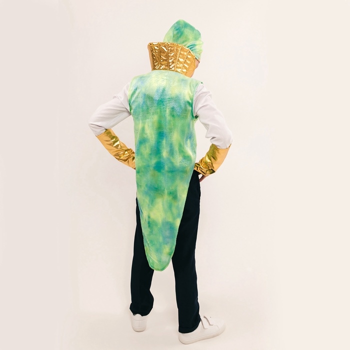 Карнавальный костюм детский «Новогодний змей»: жилетка, нагрудник, шапка, нарукавники, рост 116-128 см Карнавальный костюм детский «Новогодний змей»: жилетка, нагрудник, шапка, нарукавники, рост 116-128 см