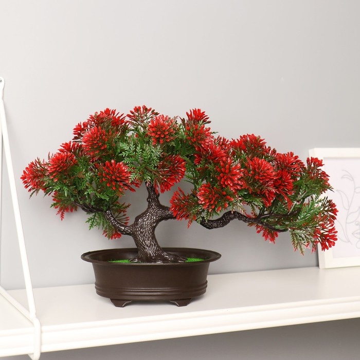 Бонсай Бонсай "Звёздник" 16х22 см, микс