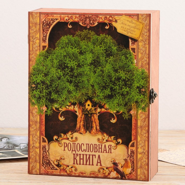 Родословная книга в шкатулке «Древо жизни», 56 листов, 20 х 26 см. Родословная книга в шкатулке «Древо жизни», 56 листов, 20 х 26 см.