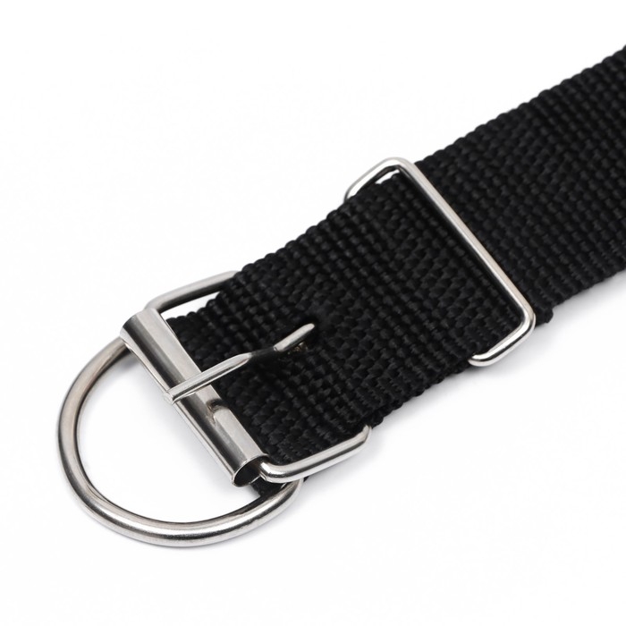 Ошейник клепаный, 48,5 х 3 см, ОШ 31-40 см, полиэстер, чёрный Ошейник клепаный, 48,5 х 3 см, ОШ 31-40 см, полиэстер, чёрный