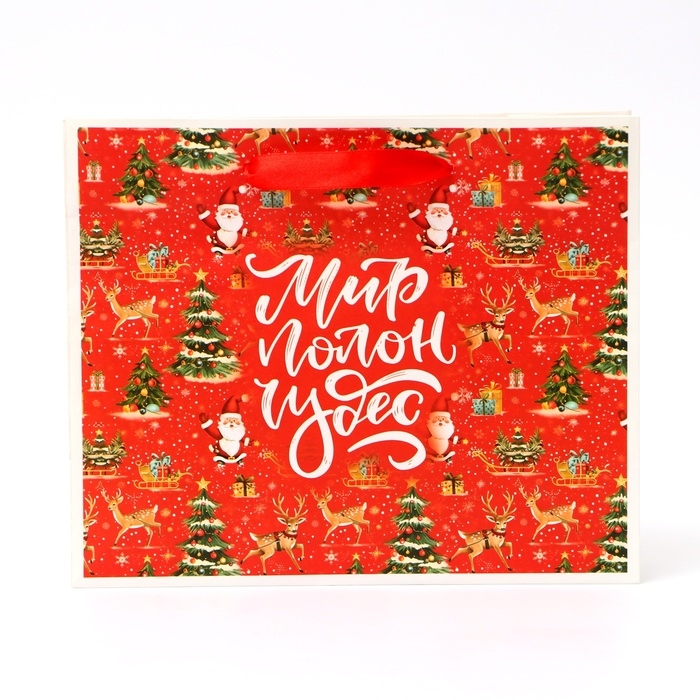 Новый год. Пакет подарочный новогодний бумажный,  Новый год. Пакет подарочный новогодний бумажный, "Мир полон чудес", 24 х 20 х 11 см.