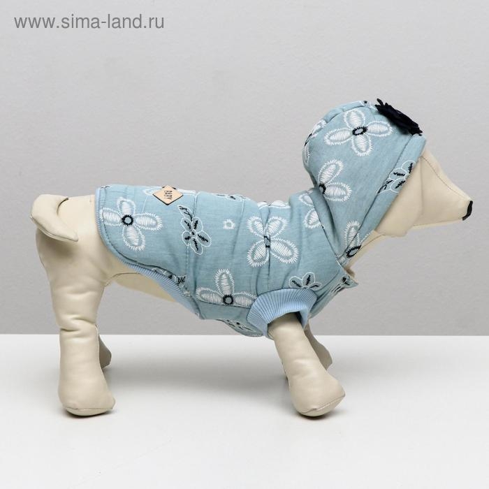Куртка для собак с цветами, M (ДС 25 см, ОШ 26 см, ОГ 37 см), голубая Куртка для собак с цветами, M (ДС 25 см, ОШ 26 см, ОГ 37 см), голубая