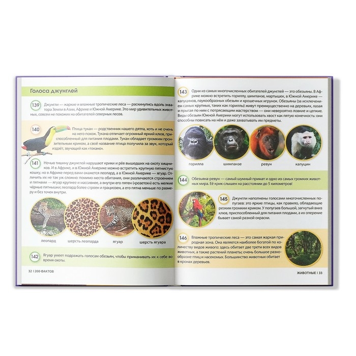 Энциклопедия «200 фактов о животных», 48 стр. Энциклопедия «200 фактов о животных», 48 стр.