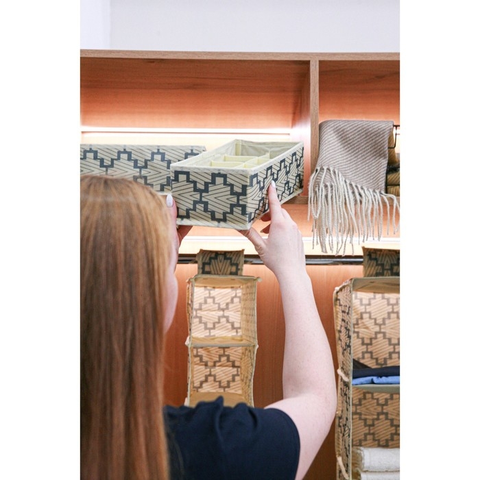 Органайзер для хранения белья Доляна «Гэтс», 8 ячеек, 28×14×10 см, цвет бежевый Органайзер для хранения белья Доляна «Гэтс», 8 ячеек, 28×14×10 см, цвет бежевый