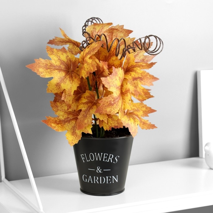 Бонсай в горшке Бонсай в горшке "Гейхера эстра" 25х10 см, микс