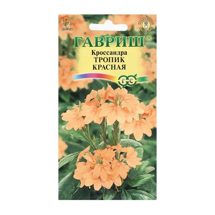 Семена цветов Кроссандра  Семена цветов Кроссандра "Тропик красная", 3 шт.