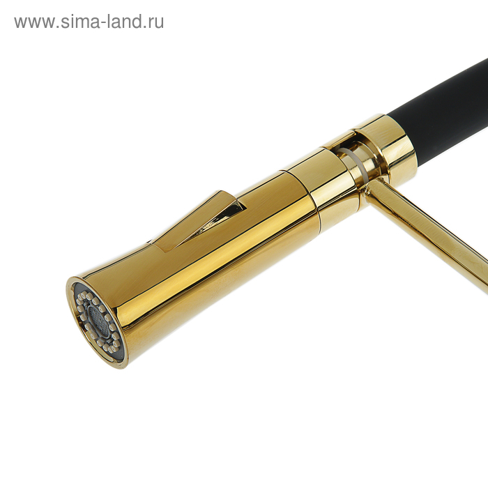 Смеситель для кухни Accoona A4890WF-1, однорычажный, латунь, черный/золото Смеситель для кухни Accoona A4890WF-1, однорычажный, латунь, черный/золото