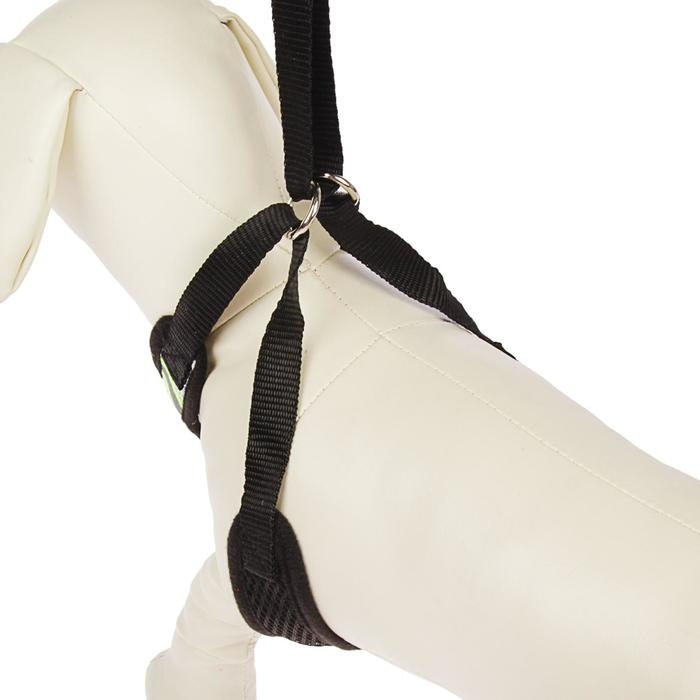 Шлейка регулируемая дышащая, светоотражающая, размер XL (ОШ 48-68; ОГ 58-72 см), чёрная Шлейка регулируемая дышащая, светоотражающая, размер XL (ОШ 48-68; ОГ 58-72 см), чёрная