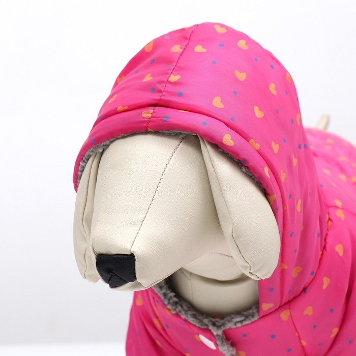 Комбинезон  Комбинезон "нежный путь" на меховом подкладе, размер 2XL (ДС 45, ОШ 45, ОГ 55 см), розовый