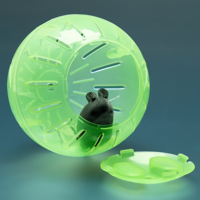 Шар для грызунов 12 см, зелёный Шар для грызунов 12 см, зелёный