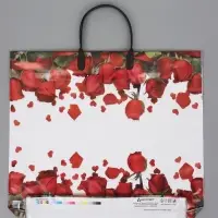 Пакет "Гран При", полиэтиленовый с пластиковой ручкой, 38 х 34 + 3 см, 90 мкм