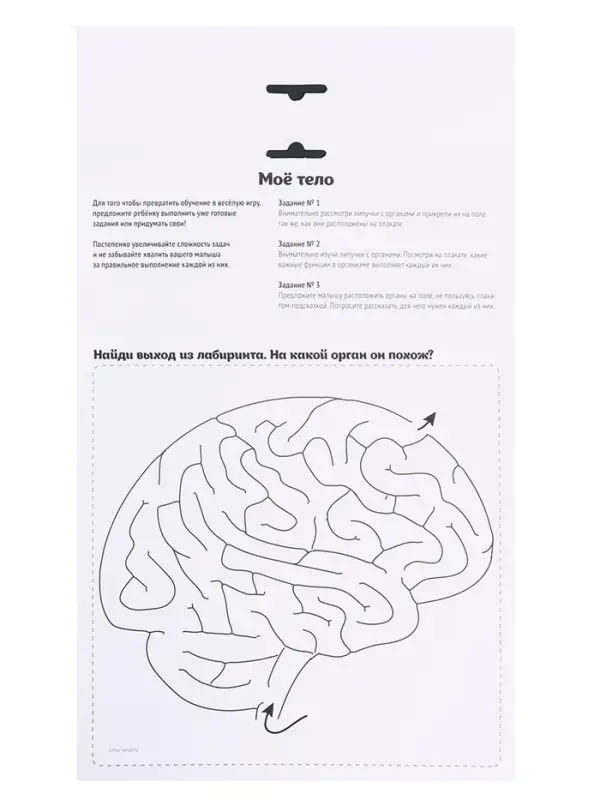Игра на липучках &laquo;Моё тело&raquo;, анатомия