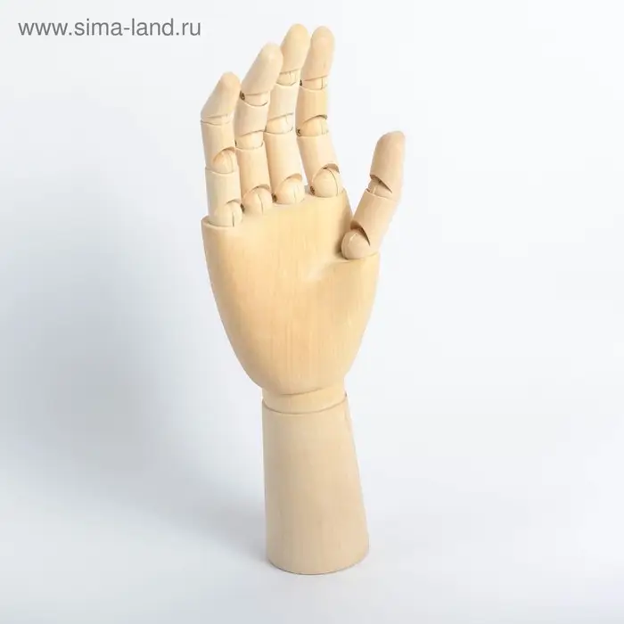 Модель деревянная художественная Манекен &laquo;Рука мужская правая&raquo; 31 см