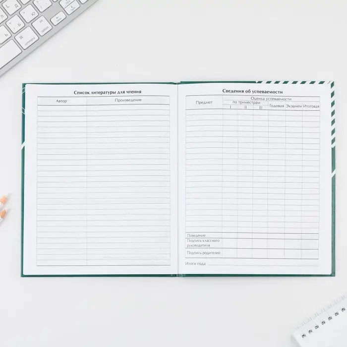 Дневник школьный 5-11 класс &laquo;Кеды&raquo;, твердая обложка 7БЦ, глянцевая ламинация, 48 листов