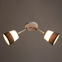 Люстра &laquo;Селена&raquo; 2хЕ27 40 Вт бело-золотой 54&times;15&times;25 см