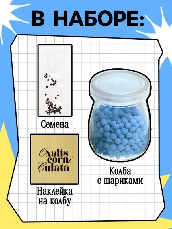 Набор для опытов &laquo;Выращиваем травку&raquo;, своими руками, голубой