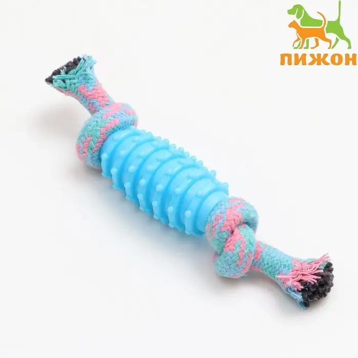 Игрушка жевательная &laquo;Элемент&raquo;, 17&times;3.2 см, голубая, розовая