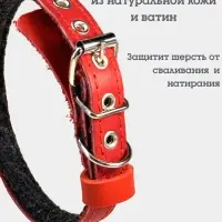 Ошейник, 35&times;1.5 см, подклад из ватина, кожа, красный