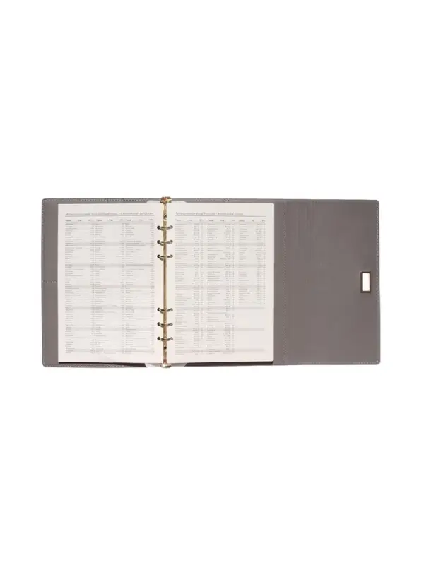 Органайзер на кольцах, А5, с клапаном, 80л, линия, к/зам, с ручкой, Серый Органайзер на кольцах, А5, с клапаном, 80л, линия, к/зам, с ручкой, Серый