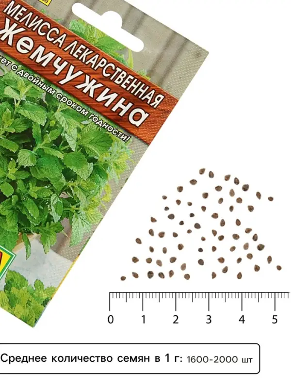 Семена Мелисса лекарственная &laquo;Жемчужина&raquo;, 0.1 г, &laquo;Аэлита&raquo;