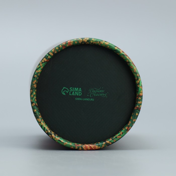 Коробка подарочная «С Новым годом», 8 х 14.5 см, Новый год Коробка подарочная «С Новым годом», 8 х 14.5 см, Новый год