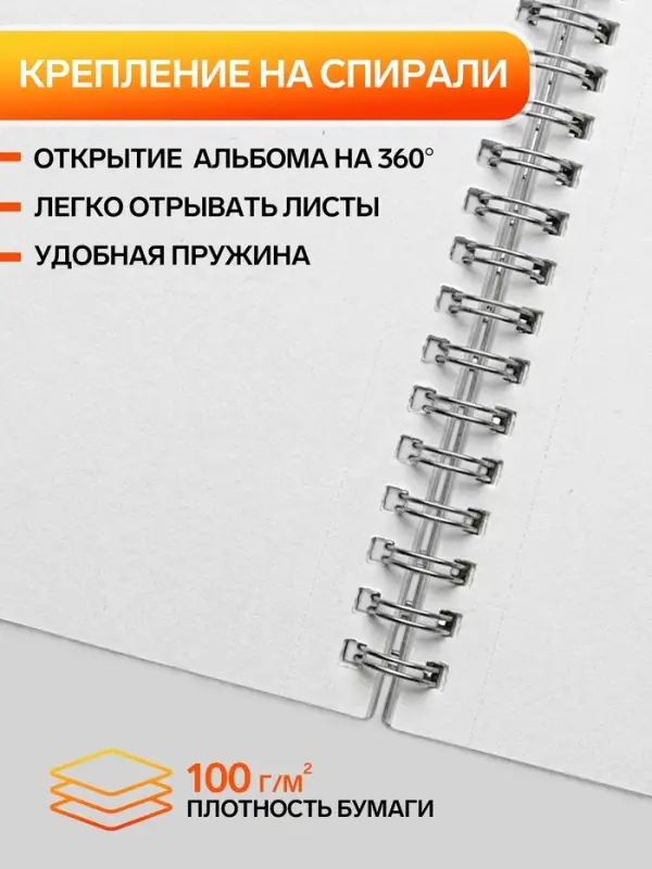 Альбом для рисования Hatber &laquo;Милые котята&raquo; А4, 24 листа, на гребне, перфорация углов, плотность листов 100 г/м&sup2;, обложка из мелованного картона, МИК...
