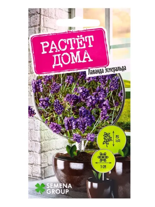 Семена Лаванда Эсмеральда 0,05 г Семена Лаванда Эсмеральда 0,05 г