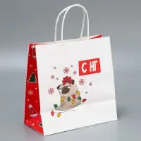 Набор новогодних пакетов &laquo;Это на Новый год&raquo;