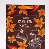 Набор  ламинированных вертикальных пакетов &laquo;Учитель года&raquo;, 3 шт, ML 27 &times; 23 &times; 11,5 см