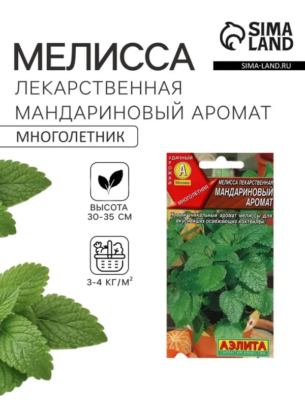 Семена Мелисса лекарственная &laquo;Мандариновый аромат&raquo;, 5 шт., &laquo;Аэлита&raquo;