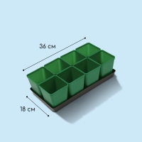 Набор для рассады: стаканы по 600 мл (8 шт.), поддон 36 × 18 см, цвет МИКС, Greengo