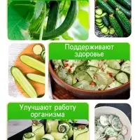 Семена Огурец &laquo;Китайские змеи&raquo;, 0.4 г, &laquo;Рецепты дедушки Никиты&raquo;