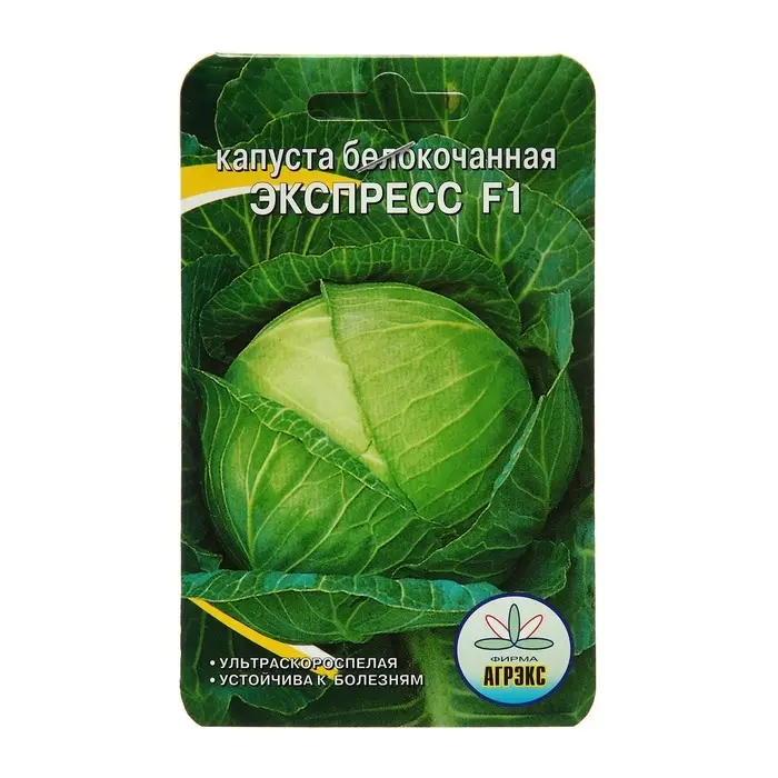 Семена Капуста б/к Семена Капуста б/к "Экспресс", 0,2 г