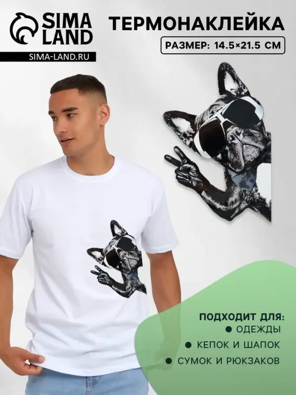 Термонаклейка &laquo;Французский бульдог&raquo;, 14.5&times;21.5 см