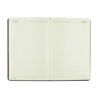 Ежедневник недатированный черный MEGAPOLIS А5,142х214мм,160л.з обр 3-281/10