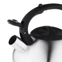 VETTA Чайник стальной 2.3л матовый, индукция