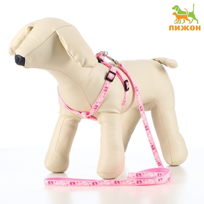 Комплект  Комплект "Цветные следы", ширина 1 см, поводок 120 см, шлейка 23-35 см, розовый