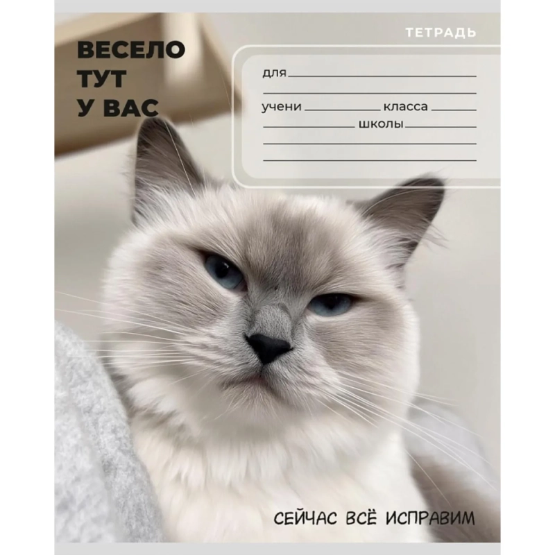 Тетрадь КЛЕТКА 24л. ЗАБАВНЫЕ КОТЫ - 6 цвет.мелов.обл.,ассорти 24-0896