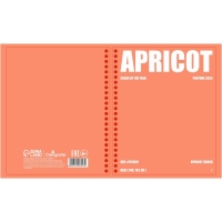 Тетрадь 96л кл на гребне Apricot, обл мел карт, блок офсет МИКС