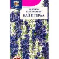 Семена цветов Лаванда узколистная &laquo;Кай и Герда&raquo; 5 шт.