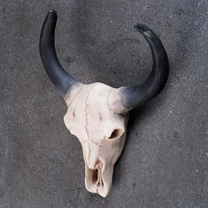 Настенный декор TAKE IT EASY &laquo;Череп&raquo;, панно декоративное, 26&times;10&times;20 см