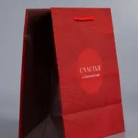 Пакет подарочный "С уважением!" ламинированный 18 х 22,3 х 10 см