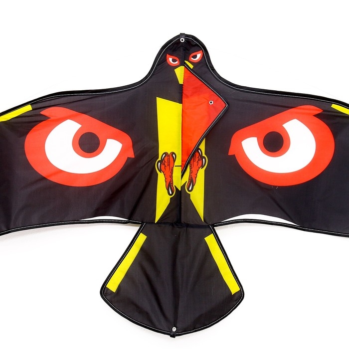 Воздушный змей «Орёл» с леской Воздушный змей «Орёл» с леской