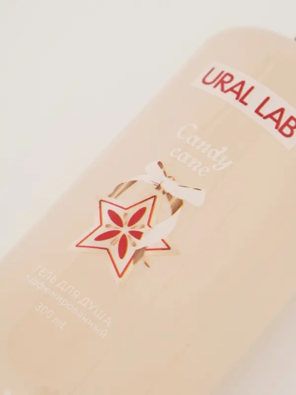 Подарочный набор новогодний в коробке дом: гель для душа 2 шт., соль и масло для душа, URAL LAB Подарочный набор новогодний в коробке дом: гель для душа 2 шт., соль и масло для душа, URAL LAB