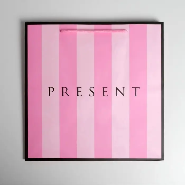 Пакет подарочный квадратный, упаковка, &laquo;Present&raquo;, 30&times;30&times;30 см