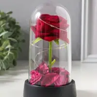 Фигурка световая колба RISALUX &laquo;Красная роза&raquo;, LED-ночник, 3&times;AG10, 8.5&times;8.5&times;15.5 см