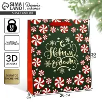 Пакет подарочный новогодний ламинированный &laquo;Новогодние чудеса&raquo;, тиснение, M 30&times;26&times;9 см